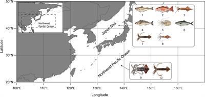 Assessing Northwest Pacific Fishery Stocks Using Two New Methods: The Monte Carlo Catch-MSY (CMSY) and the Bayesian Schaefer Model (BSM)